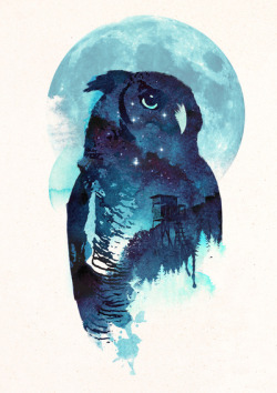 http://society6.com/product/Midnight-Owl-Zdj_Print