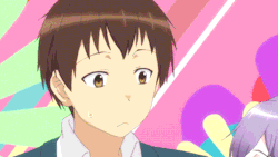 かず物語