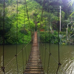 fotografia-intraversa:  Puente Hamaca, Lago Garzas, Adjuntas,