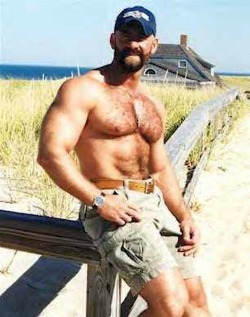 hairytreasurechests:   If you also like hairy and older men who