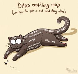 amandaonwriting:  The one about cuddling strategy | Catsu The