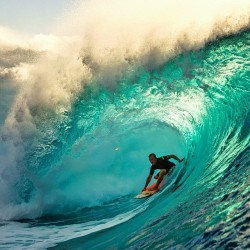 - Just A Surfer -
