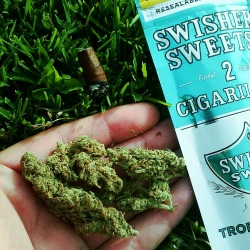 incredible-kush:  I really like this photo 