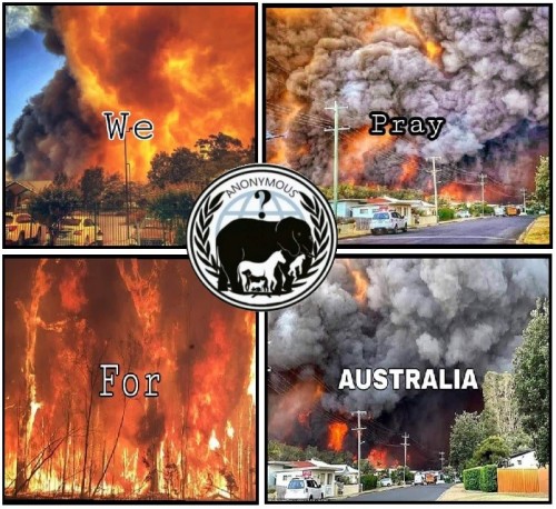  #PrayForAustralia #Anonymous #opBeast  