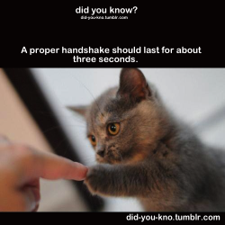 did-you-kno:  Source  I say that a kitty handshake should last
