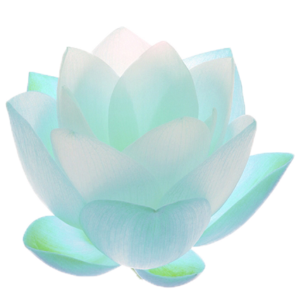 uroko:lotus flowers + transparent ☆