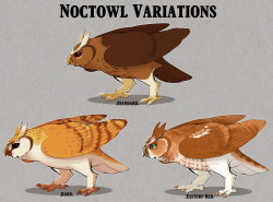 technicolorchameleons:got some NOCT OF OWLS up in here