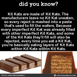 pettyartist:  did-you-kno:  Kit Kats are made of Kit Kats. The