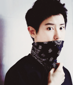 kaiscrotch:  gangstah chanyeol 