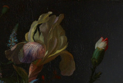 clara–lux: RUYSCH, Rachel (1664-1750) Still life, details1716Oil