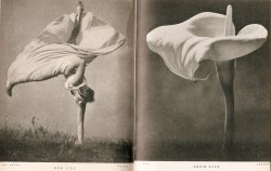 fashion1930s:  Woman as lily 