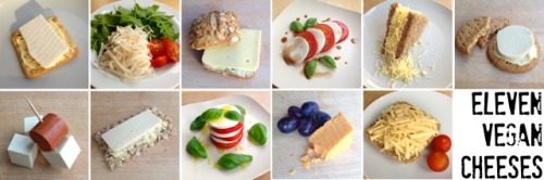 tokitoide:  rawrveganrawr:  I haven’t missed cheese remotely since I went vegan. I was actually surprised to find that 11 (and probably more) vegan cheeses exist! Click here to read the full reviews :)  I gotta try some nut cheeses and get off my cheddar