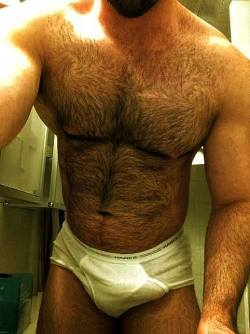 The Underwear Bear