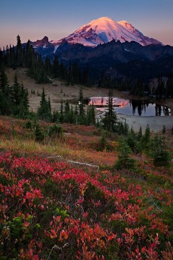 wonderous-world:  Washington, USA by Kevin Pieper