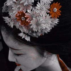 geisha-kai:  Red accents in October chrysanthemum kanzashi of