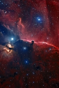 senerii:  The Horsehead Nebula in Orion by Astroshed The easy