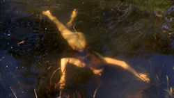 philipwernerfoto:  Doe underwater at the Karloo pools. Royal