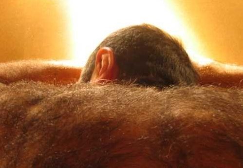 Hot hairy daddy