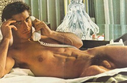 vintagegaybackroom:  nakedpicturesofyourdad:  Tony Stefano, Foxylady