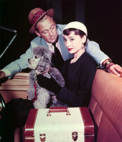 theniftyfifties:  William Holden and Audrey Hepburn in ‘Sabrina’,