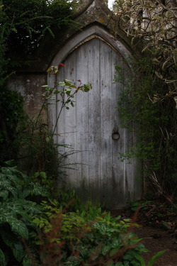 The ranger stops in front of the weathered door and simply stares,