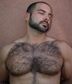 CUBPOPPDX
