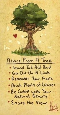 gentledom:  the-enchanted-mermaid:  The tree is right.  Yes,
