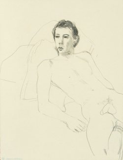 thenewloverofbeauty:  David Hockney:  Gregory Reclining  (1976)