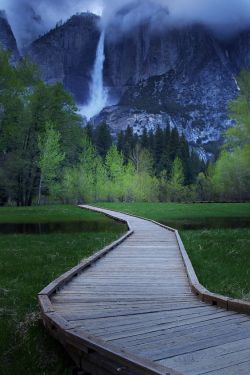 bonitavista:  Yosemite, California photo via janet 
