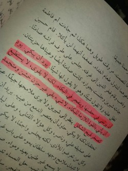 maisamy:  أبو عمر المصري | عز الدين شكري