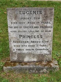 A head stone for two cows; Eugenie, a Jersey cow who had seventeen