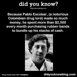 did-you-kno:  Because Pablo Escobar, (a notorious Colombian drug