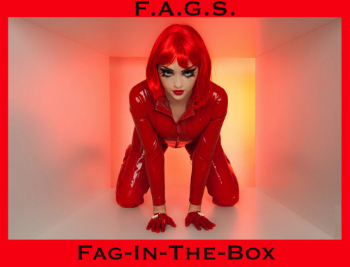 faggotryandgendersissification:  Fag-In-The-Box F.A.G.S. 