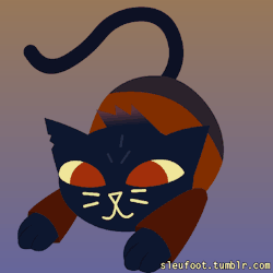 sleufoot: Mae doing another cat thing, now with a tail! -   If