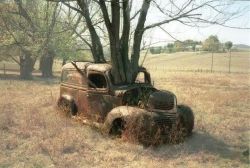 destroyed-and-abandoned:  Car and tree become one 