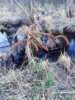 methsaucemaniac:  Creepy decrepit abandoned bike near my house.