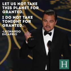 huffingtonpost:  Leonardo DiCaprio Wins Best Actor For ‘The