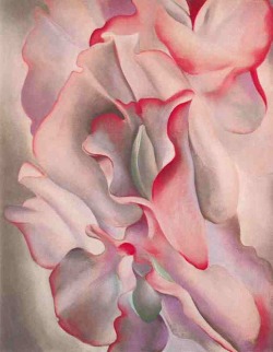 apoetreflects:  Painting: Georgia O’Keeffe, Pink Sweet Peas, 1926
