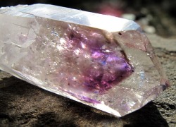 mineralists:  Quartz point with Amethyst phantom 