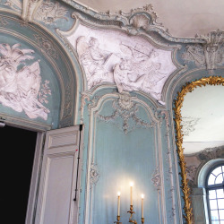 thestandrewknot:  The Salon du Prince at the Hôtel de Soubise,