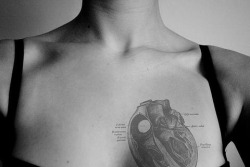 Anatomy tattoos