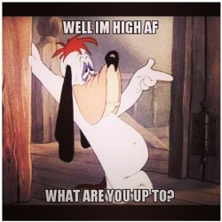 rsmokey29:  #funny and #true. #420 #droopy #highaf #hellafaded