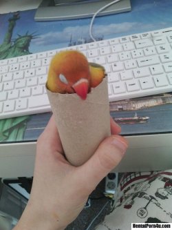 HentaiPorn4u.com Pic- You asked for a Mango burrito, here it