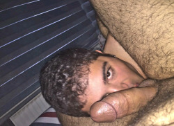 muslimconvert:  haurukoh:  My Egyptian friend is back to his