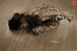 wykd-dave:  Pulled you together. Full set on http://rope-topia.com