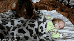 memator:  Cat Watches Over Baby http://ift.tt/1qeDkpQ http://ift.tt/1t9bpeI