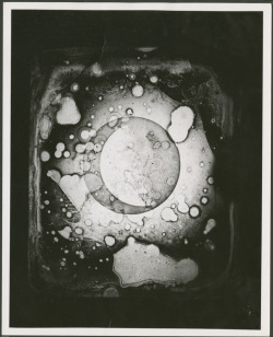 posthorn:  An early photograph of the Moon, a daguerreotype taken