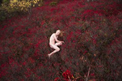 sean-clancy:  Jacob (Red Blueberry), 2015 by Ryan McGinley 