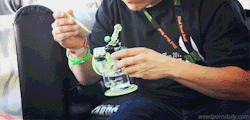 weedporndaily:  Cannabis Cup dabs 
