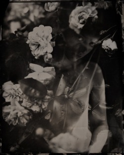 la-journee:  Isa Marcelli 